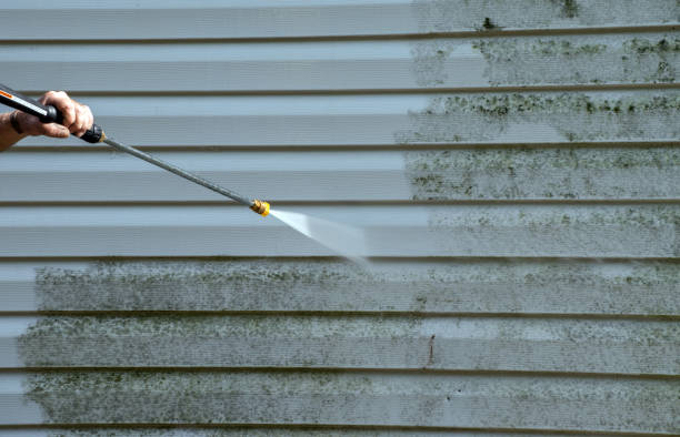 Best Building Exterior Washing  in Morrison, IL