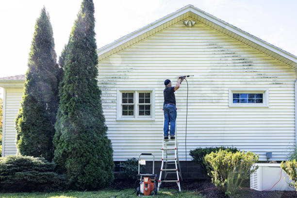 Trusted Morrison, IL Pressure Washing Services Experts